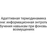 Адаптивная термодинамика лени: информационная энтропия обучения навыкам при фоновых возмущениях